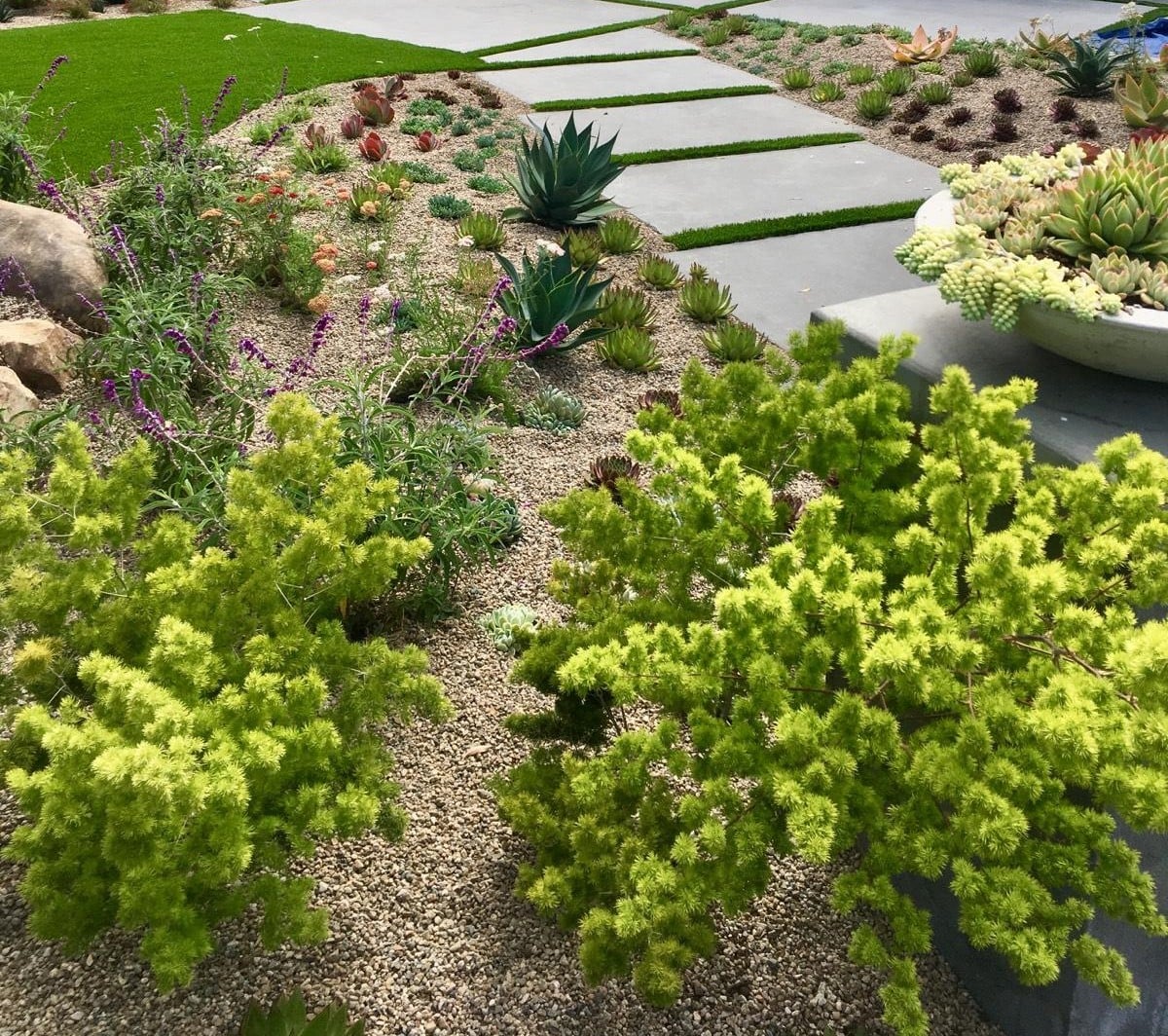 BREATHTAKING LANDSCAPING logo